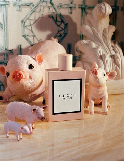 gucci year of the pig collection price|gucci chinese new year 2024.